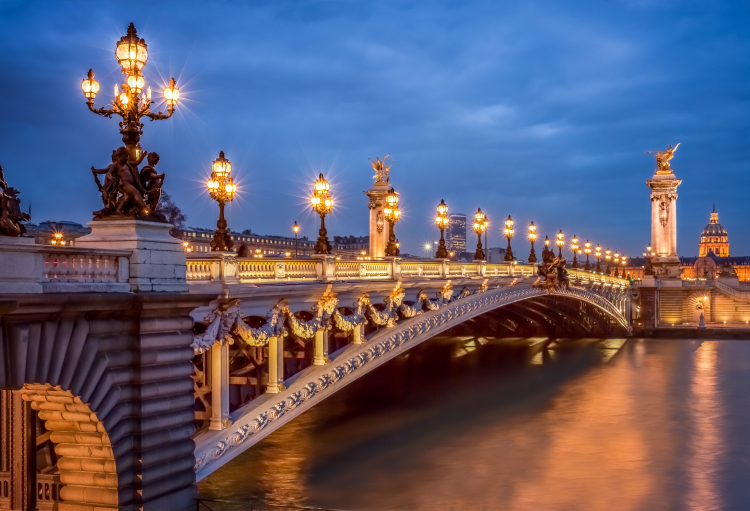 Ophorus Tours - Luxury VIP Seine River Dinner Cruise in Paris with Private Hotel Transfers