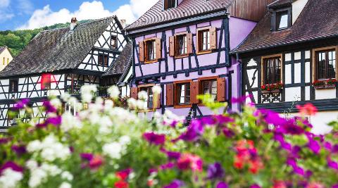 Ophorus Tours - Strasbourg Private Sightseeing Transfer to Colmar