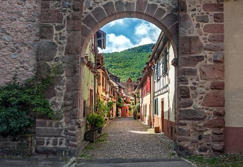 Ophorus Tours - Strasbourg Private Sightseeing Transfer to Colmar