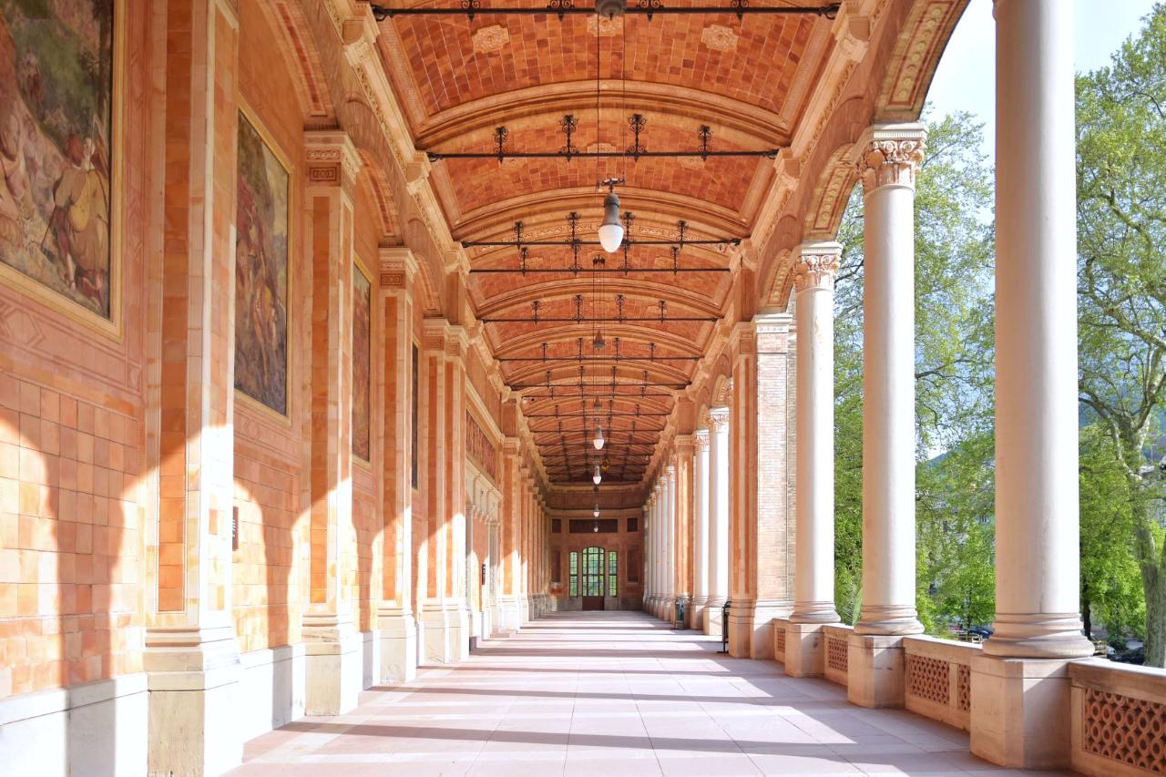 Ophorus Tours - Strasbourg Private Sightseeing Transfer to Frankfurt 