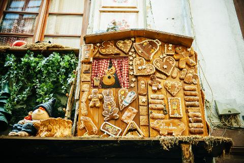 Ophorus Tours - Taste of Alsace: Private Food & Wine Tour in Strasbourg