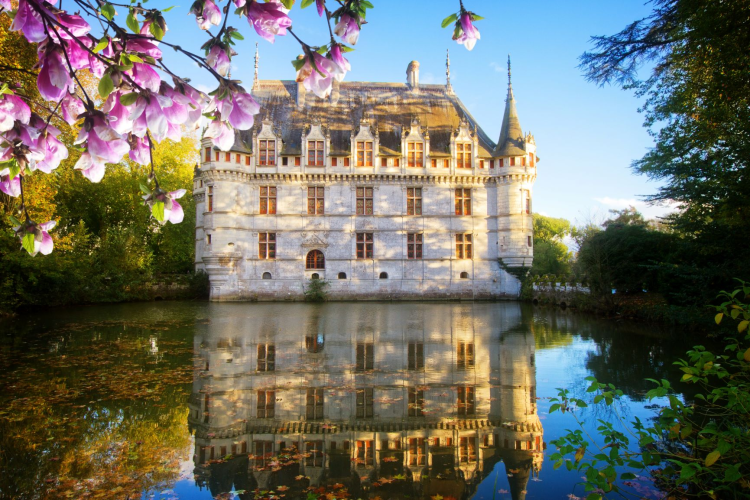 Ophorus Tours - Visit Azay-le-Rideau Castle: Guided Half-Day Tour from Tours