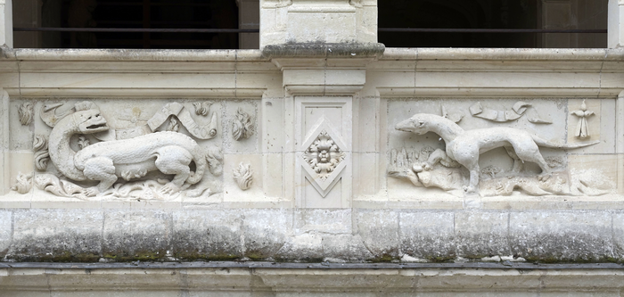 Ophorus Tours - Visit Azay-le-Rideau Castle: Guided Half-Day Tour from Tours