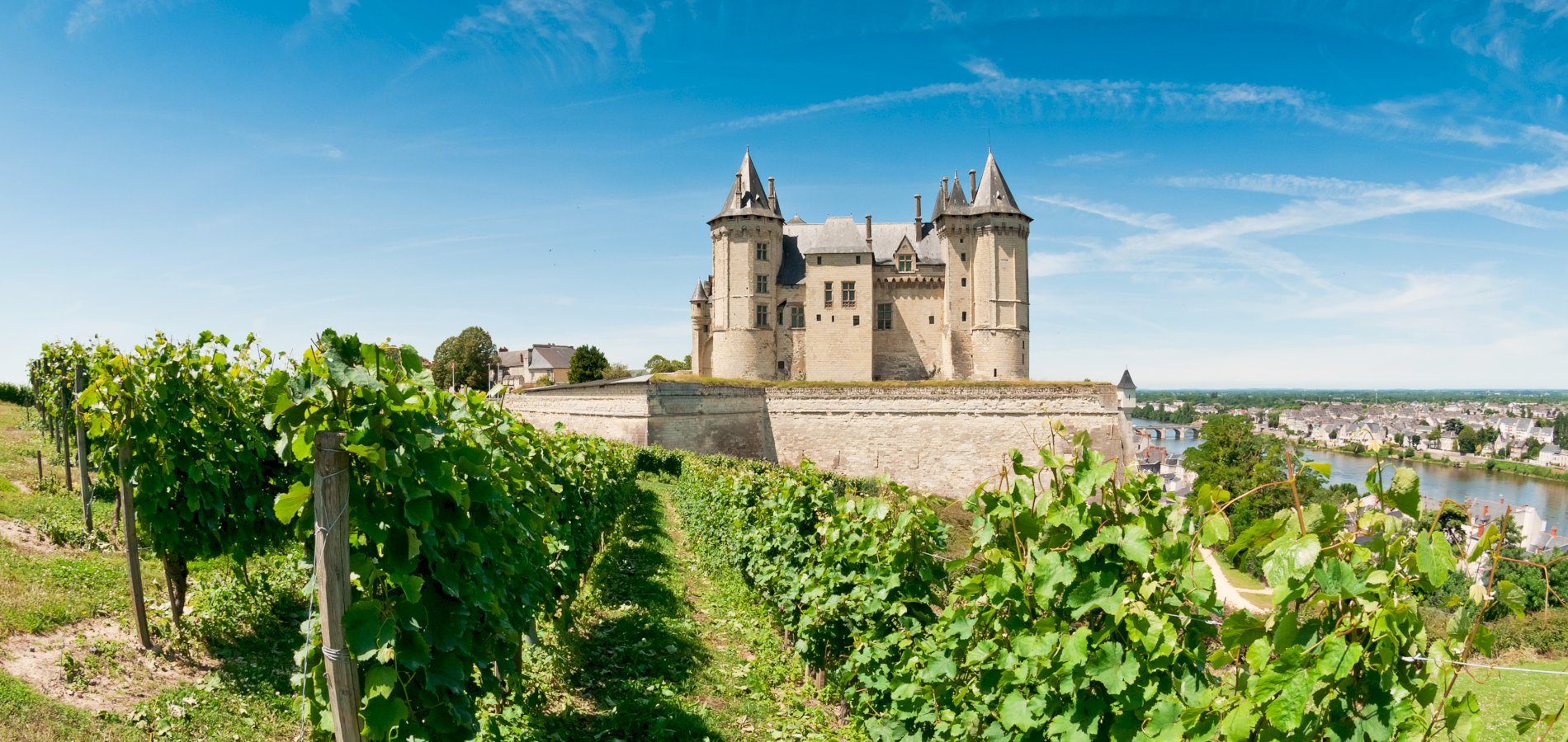 Ophorus Tours - Loire Valley Discovery: Private Angers Package with Fontevraud & Saumur