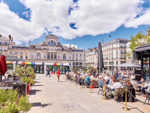Ophorus Tours - Loire Valley Discovery: Private Angers Package with Fontevraud & Saumur