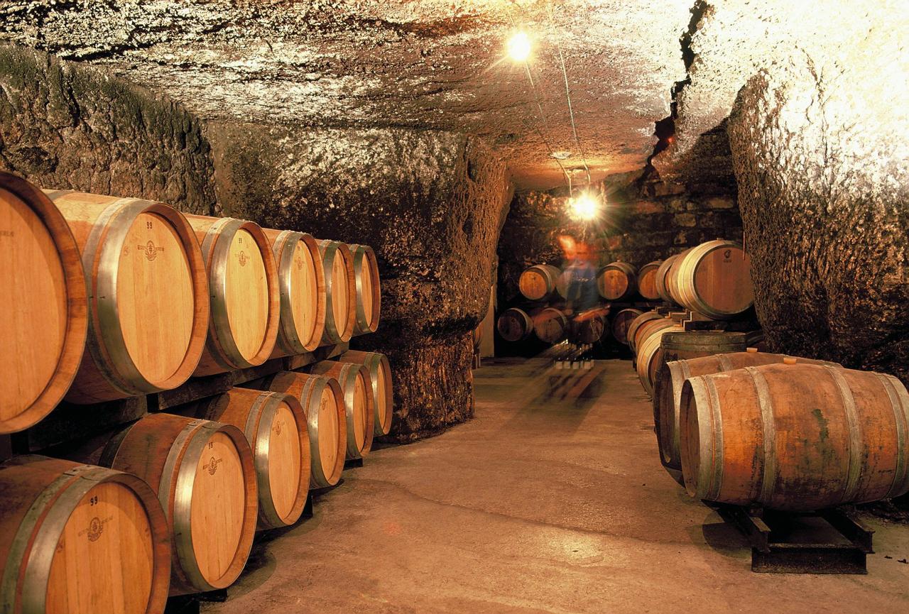 Ophorus Tours - 4-Day Private Anjou Package - 3* Hotel