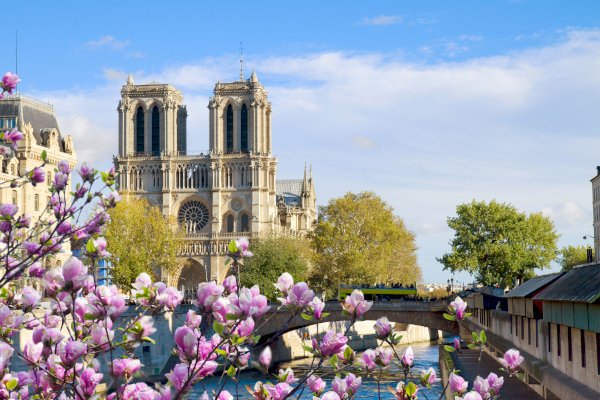 Ophorus Tours - Paris: Notre Dame Cathedral inside & Neighborhood Guided Tour