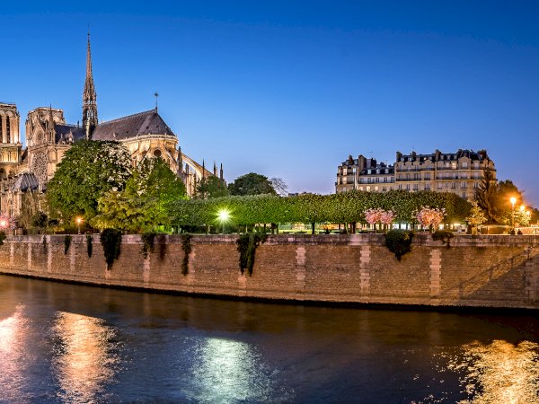 Ophorus Tours - Paris: Notre Dame Cathedral inside & Neighborhood Guided Tour