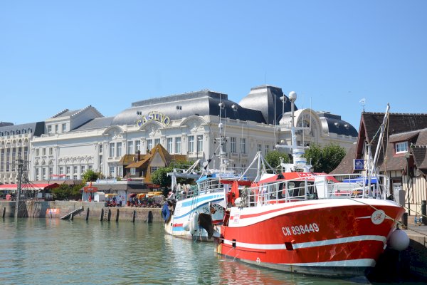 Ophorus Tours - Escape to Normandy's Côte Fleurie Private Tour from Bayeux