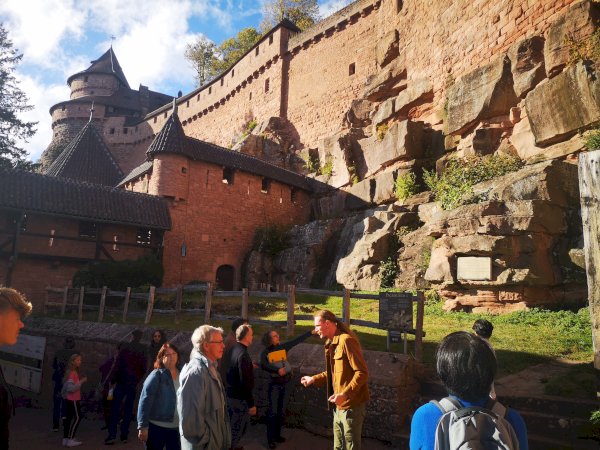 Ophorus Tours - Best Strasbourg Shore Excursion: Private Day Trip for River Cruise Guests