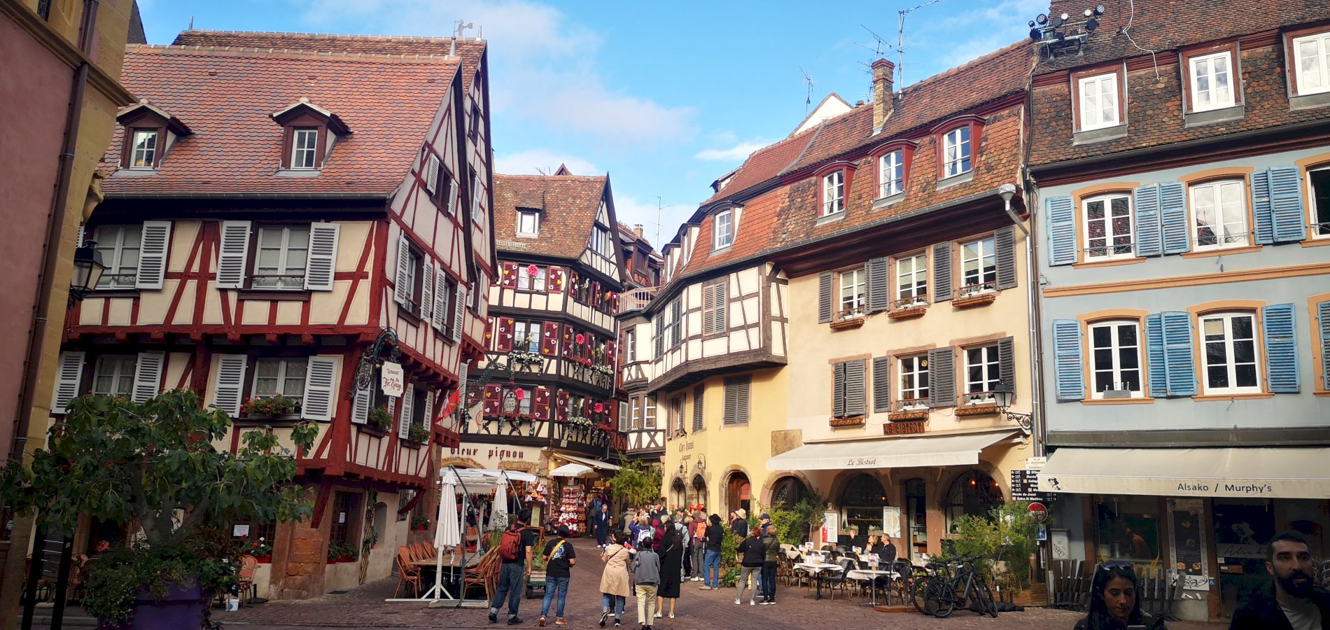 Ophorus Tours - Best Strasbourg Shore Excursion: Private Day Trip for River Cruise Guests