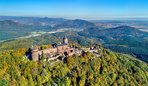 Ophorus Tours - Alsace Essentials – Private Rhine River Shore Excursion from Strasbourg