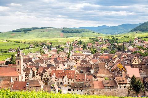 Ophorus Tours - Alsace Essentials – Private Rhine River Shore Excursion from Strasbourg