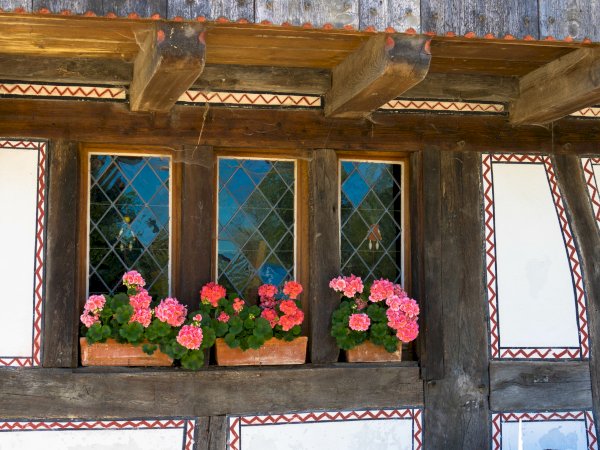 Ophorus Tours - Kehl River Cruise Shore Excursion: Alsace Wine & Vineyards Tour