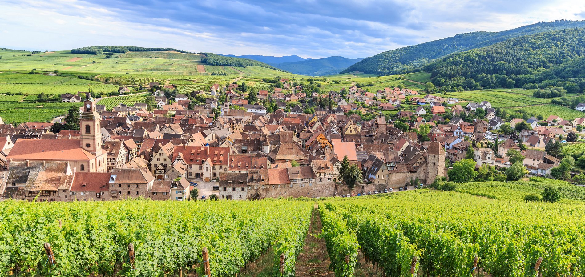 Ophorus Tours - Discover Alsace’s Treasures – Private Day Excursion Breisach Cruise Tour