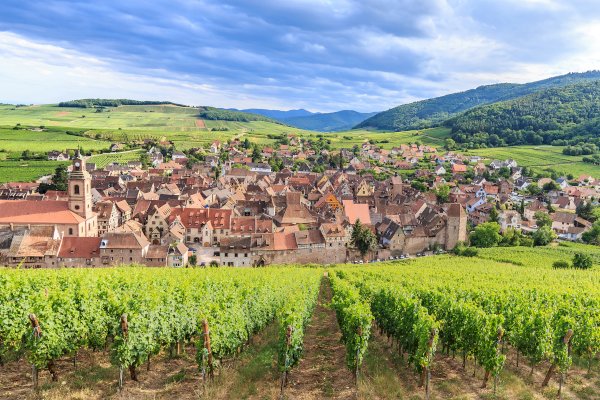 Ophorus Tours - Discover Alsace’s Treasures – Private Day Excursion Breisach Cruise Tour