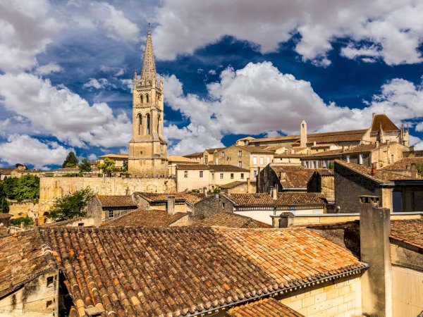 Ophorus Tours - Bordeaux River Cruise Exclusive – Full Day Saint Emilion Private Tour