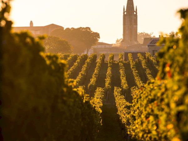 Ophorus Tours - Bordeaux River Cruise Exclusive – Full Day Saint Emilion Private Tour