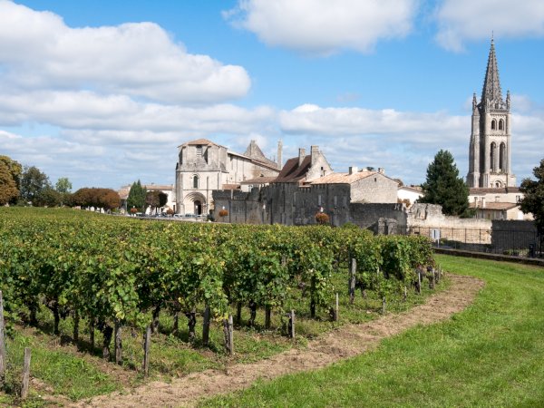 Ophorus Tours - Bordeaux River Cruise Exclusive – Full Day Saint Emilion Private Tour
