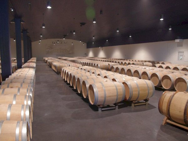 Ophorus Tours - Private Médoc Wine Tour from Bordeaux – River Cruise Excursion