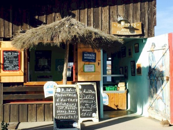 Ophorus Tours - Arcachon Bay Private Day Tour from Bordeaux – River Cruise Excursion