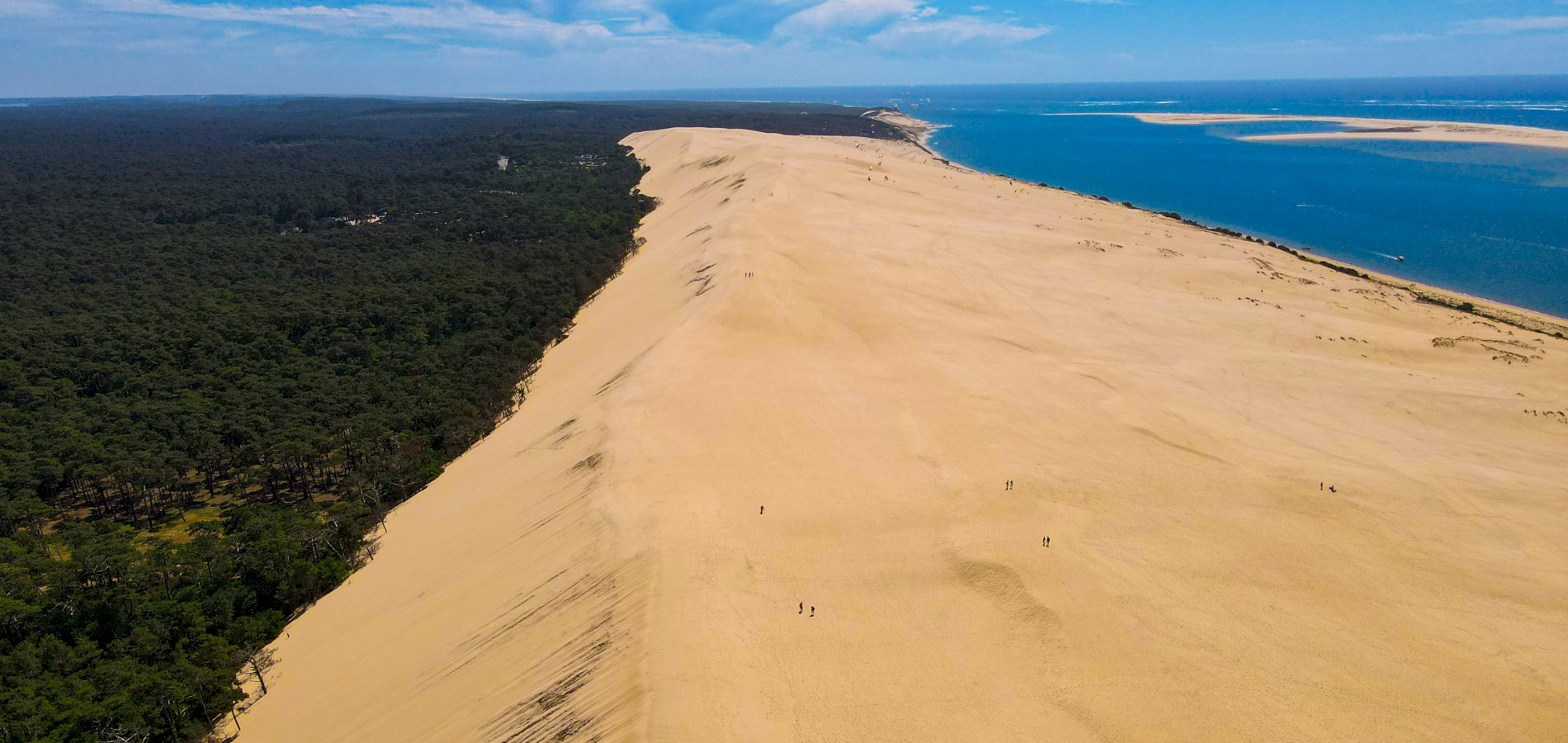 Ophorus Tours - Arcachon Bay Private Day Tour from Bordeaux – River Cruise Excursion