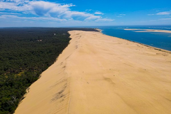 Ophorus Tours - Arcachon Bay Private Day Tour from Bordeaux – River Cruise Excursion