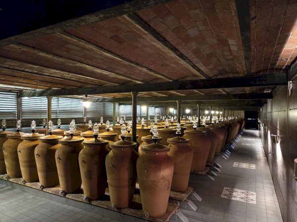 Ophorus Tours - Private Grand Cru Classé Experience at Château Durfort-Vivens from Bordeaux