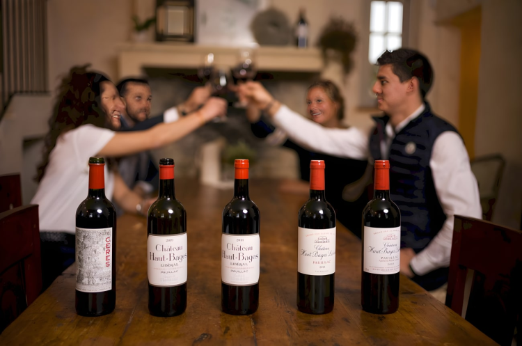 Ophorus Tours - Pauillac Luxury Wine Tour & Gourmet meal from Bordeaux