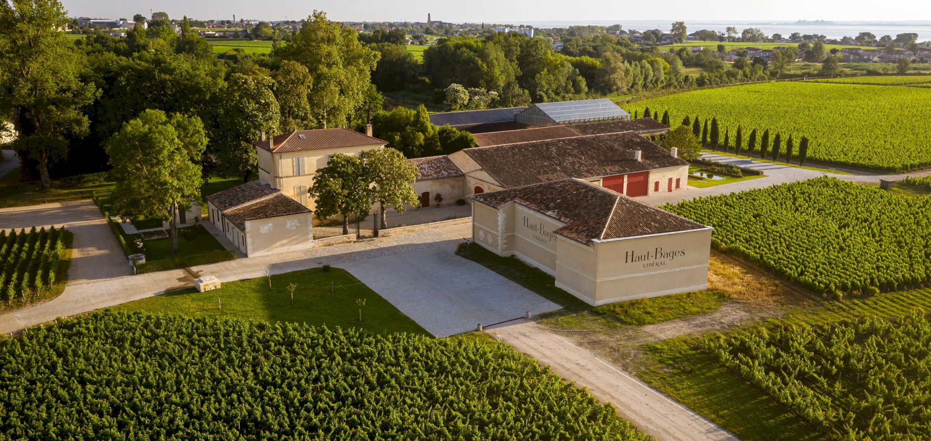 Ophorus Tours - Luxury Pauillac Wine Experience at Château Haut‑Bages Libéral from Bordeaux