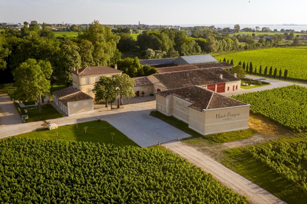 Ophorus Tours - Luxury Pauillac Wine Experience at Château Haut‑Bages Libéral from Bordeaux