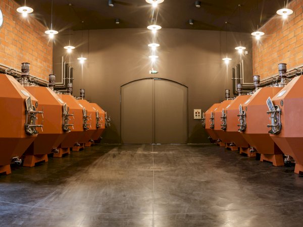 Ophorus Tours - Luxury Pauillac Wine Experience at Château Haut‑Bages Libéral from Bordeaux