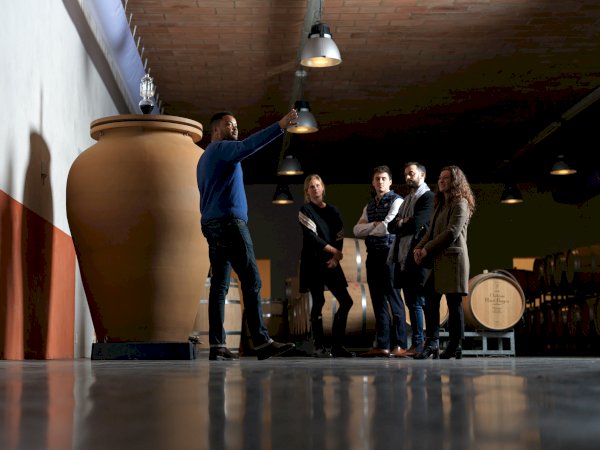 Ophorus Tours - Luxury Pauillac Wine Experience at Château Haut‑Bages Libéral from Bordeaux