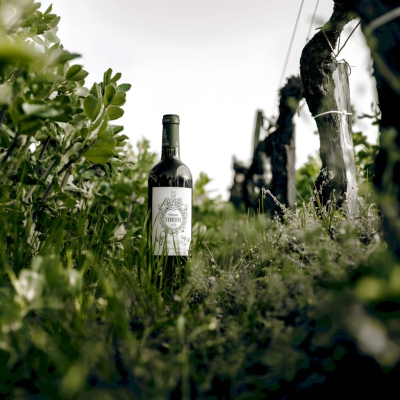 Private estate and vineyard visit