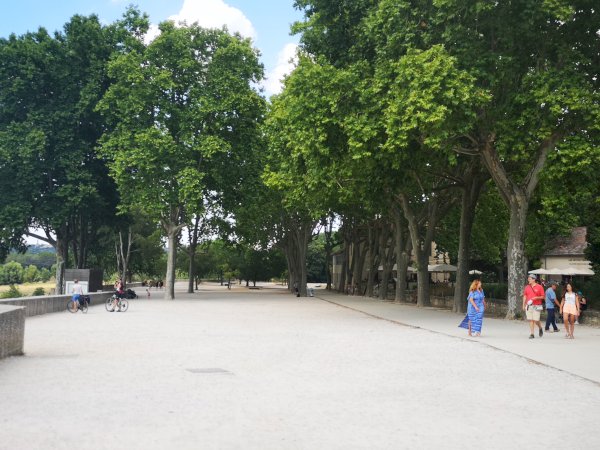 Ophorus Tours - Pont du Gard UNESCO Site – Avignon River Cruise Excursion