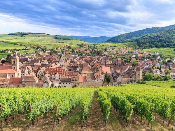 Ophorus Tours - Kehl to Alsace Treasures – Private Tour for Rhine River Cruises