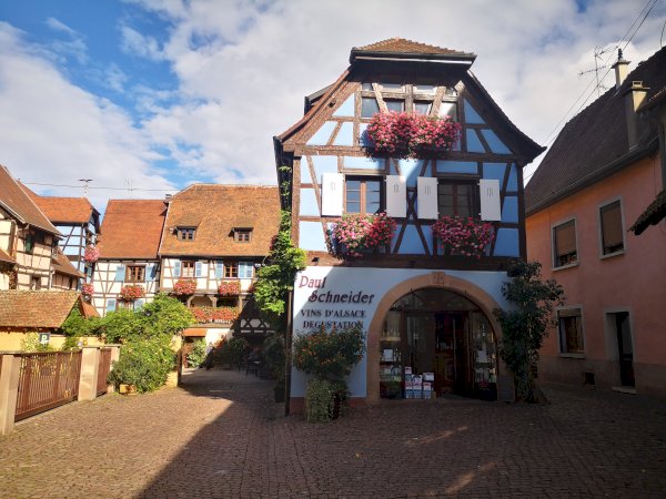 Ophorus Tours - Kehl to Alsace Treasures – Private Tour for Rhine River Cruises