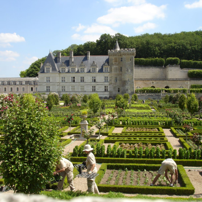 Explore Villandry Gardens
