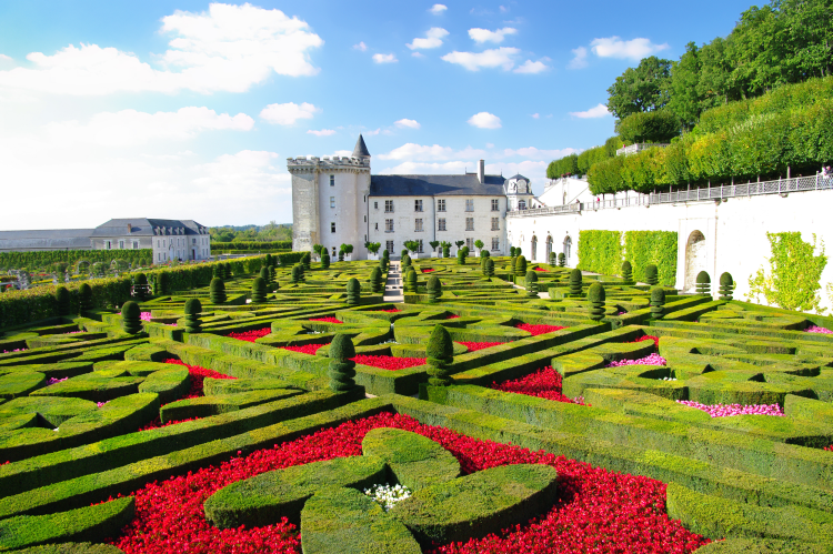 Ophorus Tours - Cooking Class in Azay-le-Rideau, lunch and Villandry Gardens