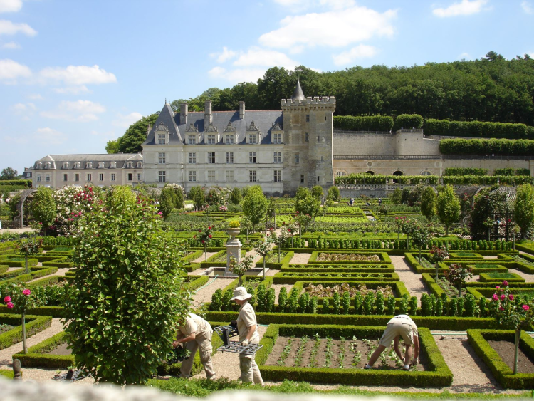 Ophorus Tours - Cooking Class in Azay-le-Rideau, lunch and Villandry Gardens