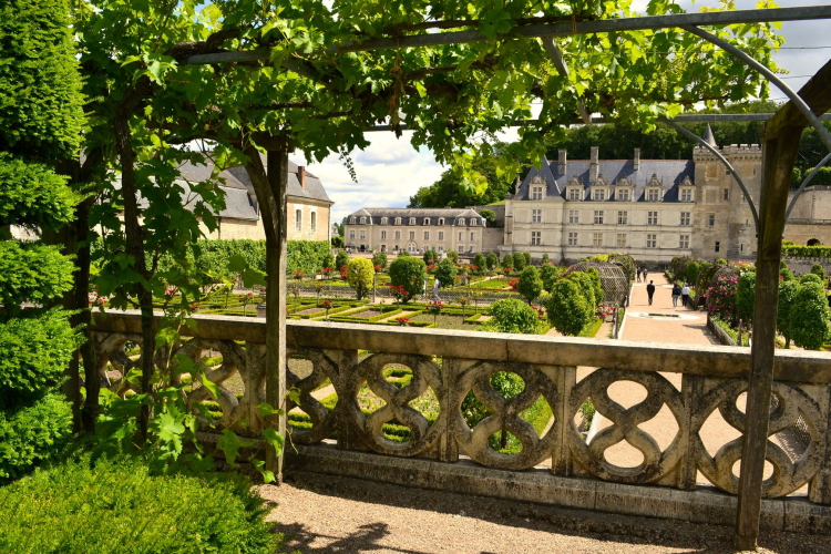 Ophorus Tours - Cooking Class in Azay-le-Rideau, lunch and Villandry Gardens