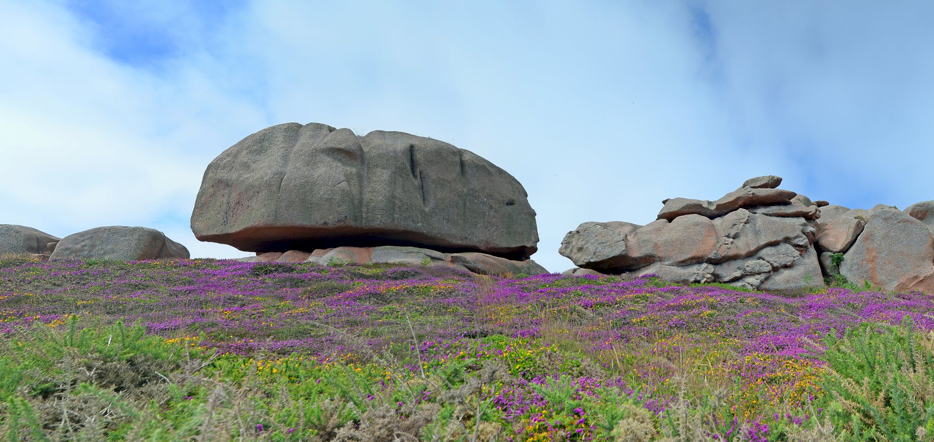 Ophorus Tours - Private Shore Excursion from Saint-Malo to the Pink Granite Coast