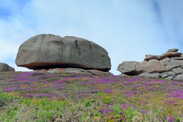 Ophorus Tours - Private Shore Excursion from Saint-Malo to the Pink Granite Coast