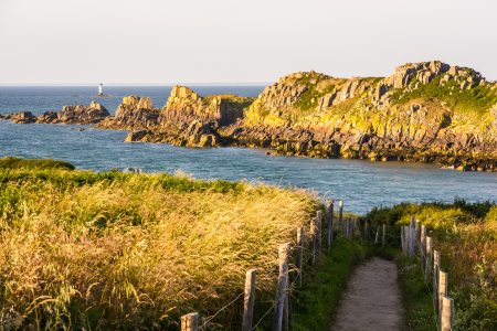 Ophorus Tours - Saint-Malo to Pink Granite Coast Shore Excursion - Private