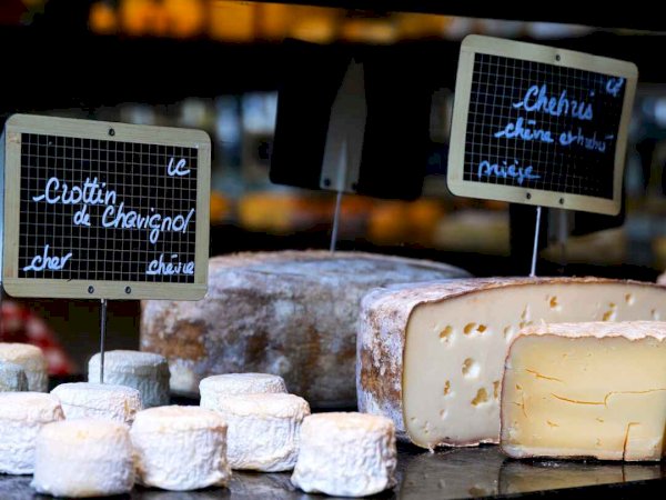 Ophorus Tours - Bordeaux Cheese Cellar Experience: Unlimited Cheese & 3 Glasses of Wine