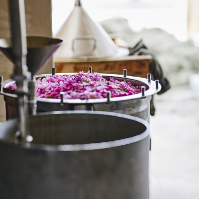 Essential Oil Distillation
