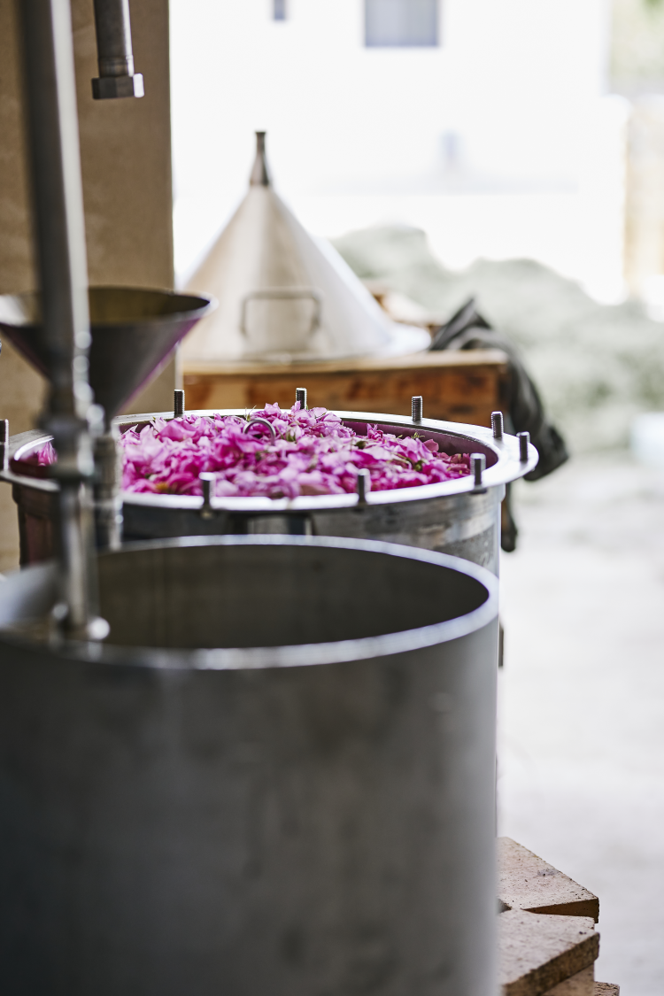 Ophorus Tours - Provence Lavender Perfume & Essential Oils Workshop