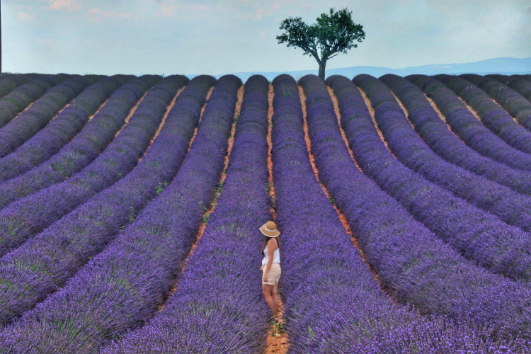 Ophorus Tours - Provence Lavender Perfume & Essential Oils Workshop