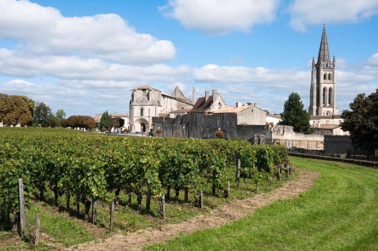 Ophorus Tours - Saint-Émilion & Margaux Small Group Wine Tour from Bordeaux
