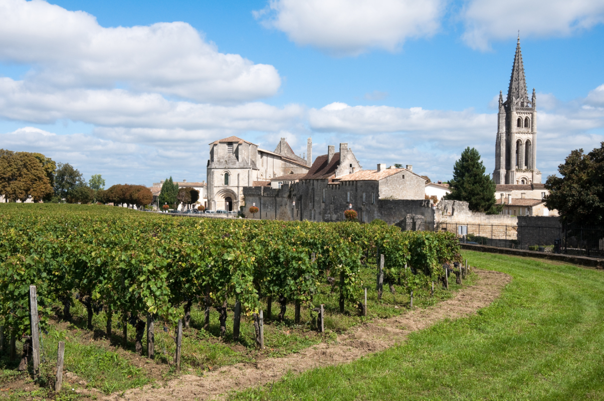 Ophorus Tours - Saint-Émilion & Margaux Small Group Wine Tour from Bordeaux